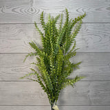 PLS FERN BUSH X7 - FSGREEN - 59642 * R BR
