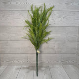 PLS FERN BUSH X7 - FSGREEN - 59642 * R BR