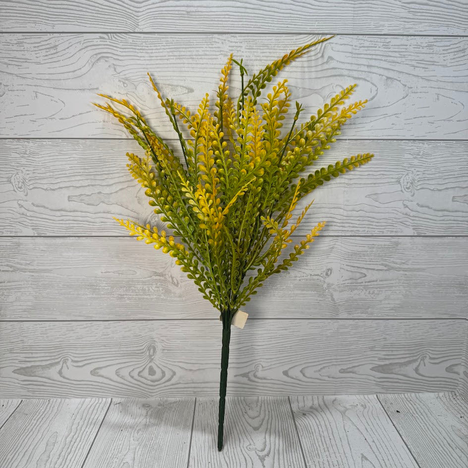 PLS FERN BUSH X7 - ORANGE - 59645 * R BR