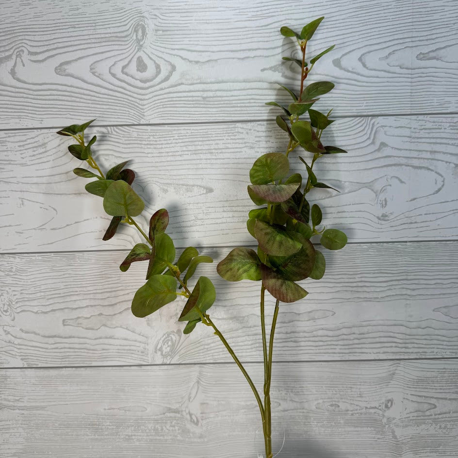 EUCALYPTUS SPRAY X3 - GREEN/BROWN - 12423 * PU