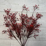 PLS MINI BERRY BUSH X9 - RED - 15322 * OO