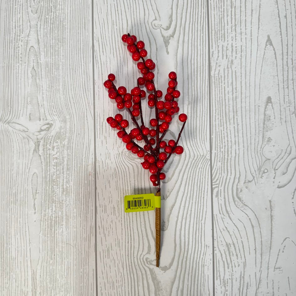 BERRY PICK X2 H20 - RED - 86486RD * PU