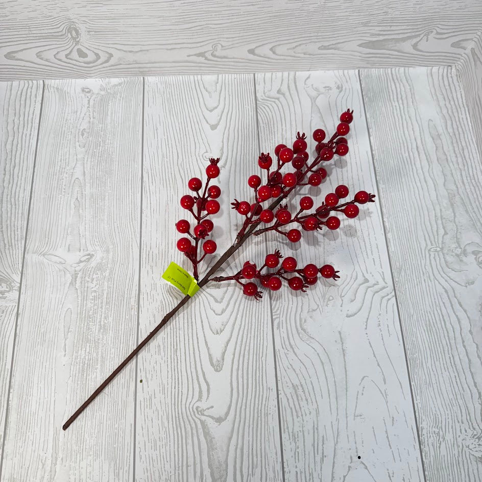 RED BERRY PICK 17 - RED - 83568RD * OO