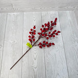 RED BERRY PICK 17 - RED - 83568RD * OO