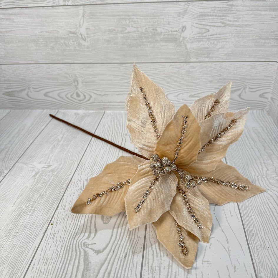 POINSETTIA STEM H16xDIA12.5 - CHAMPAGNE - 86876CH * BL