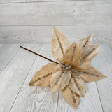 POINSETTIA STEM H16xDIA12.5 - CHAMPAGNE - 86876CH * BL