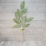 MAGNOLIA LEAVES SPRAY H28 - MINT - 86946MINT * G