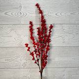 BERRY SPRAY X4 H24 - RED - 86477RD * OO