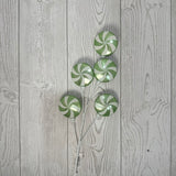 24IN CANDY SPRAY - GREEN/WHITE - 32245-GNWT * G