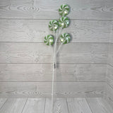 24IN CANDY SPRAY - GREEN/WHITE - 32245-GNWT * G
