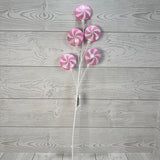 24" CANDY SPRAY - PINK/WHITE - 32245-PK WT * G