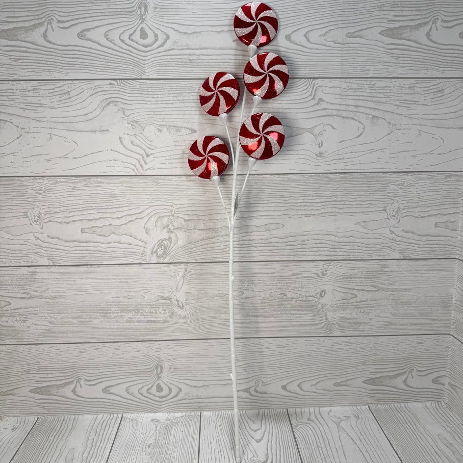 24" CANDY SPRAY - RED/WHITE - 32245-RDWT * G