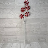 24" CANDY SPRAY - RED/WHITE - 32245-RDWT * G