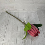 PROTEA SPRAY 22" - MAUVE - DC21032MV