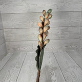 EVA FOAM WHITEWASHED PALM SEED BRANCH 35.5" - DCSP31391