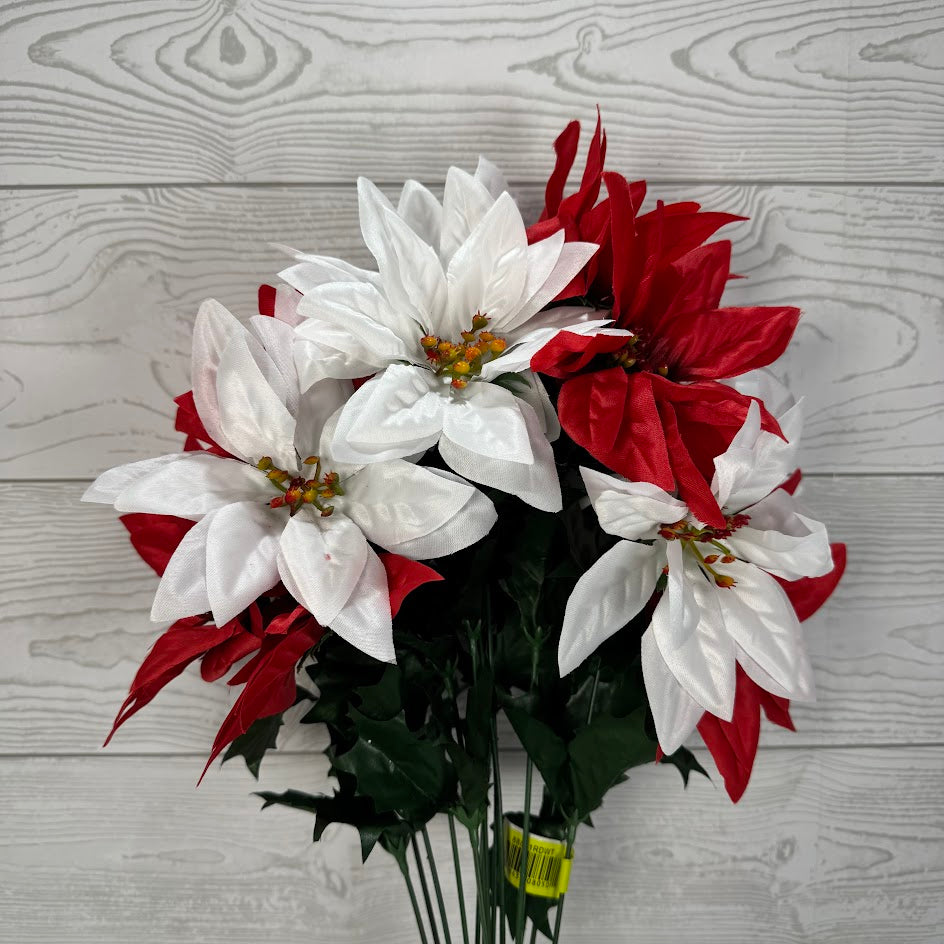 COLOR FAST POINSETTIA BUSH X14 H22 - RED/WHITE - 88831RDWT * PK G