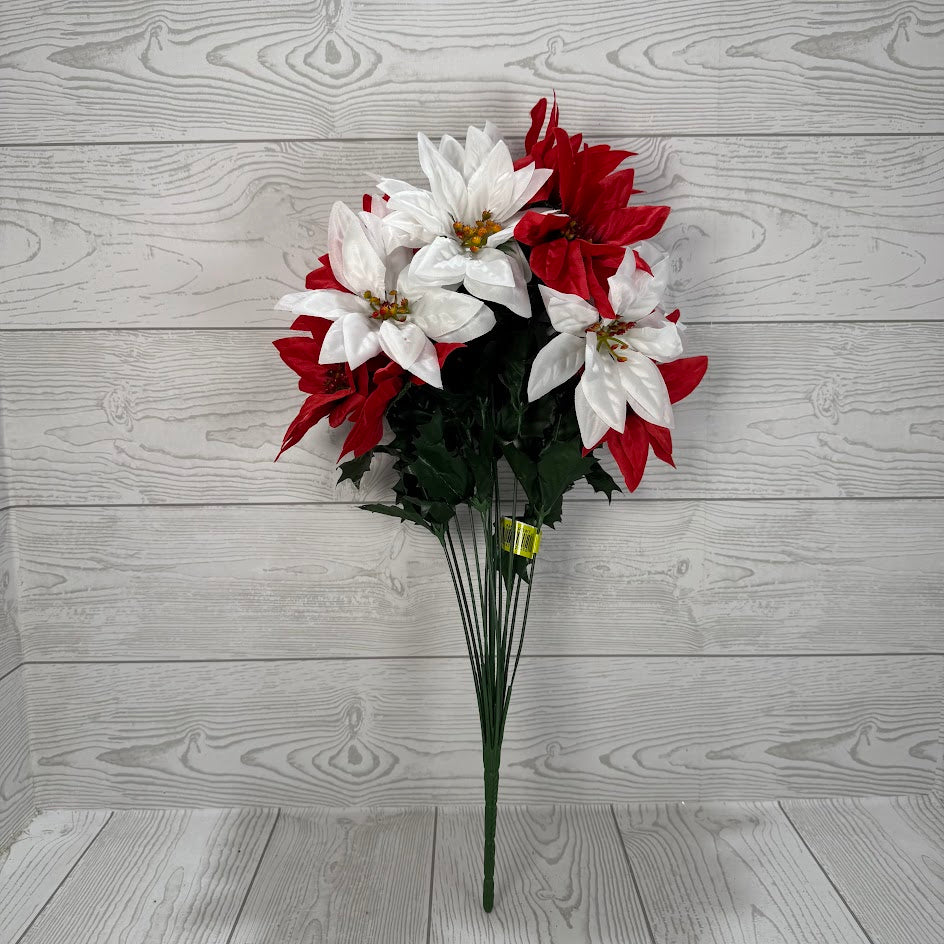 COLOR FAST POINSETTIA BUSH X14 H22 - RED/WHITE - 88831RDWT * PK G