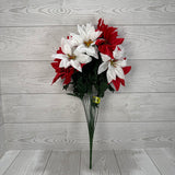 COLOR FAST POINSETTIA BUSH X14 H22 - RED/WHITE - 88831RDWT * PK G