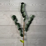 VELVET CURLY SPRAY X3 H28 - SAGE - 86752SAGE * RD