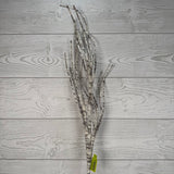 BIRCH SPRAY H30 -85822WT * RD