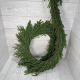 72" SOFT TOUCH NORFOLK PINE GARLAND - DCGL6150