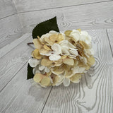 13.5" FAUX DRIED HYDRANGEA PICK - CREAM - DCSP6299CR