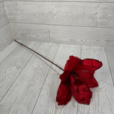 20" GLAM MAGNOLIA - RED - DCPC6613