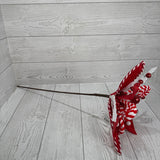 H23" DIA11" WHIMSICAL PEPPERMINT POINSETTIA - DCSP6721