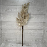 29IN FERN SPRAY FROST W/ GOLD - 32141
