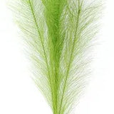 32.75"L FABRIC GRASS PLUME SPRAY - LIME GREEN - FG601356
