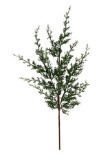 32"L JUNIPER W/BERRY SPRAY - GREEN - XX9635