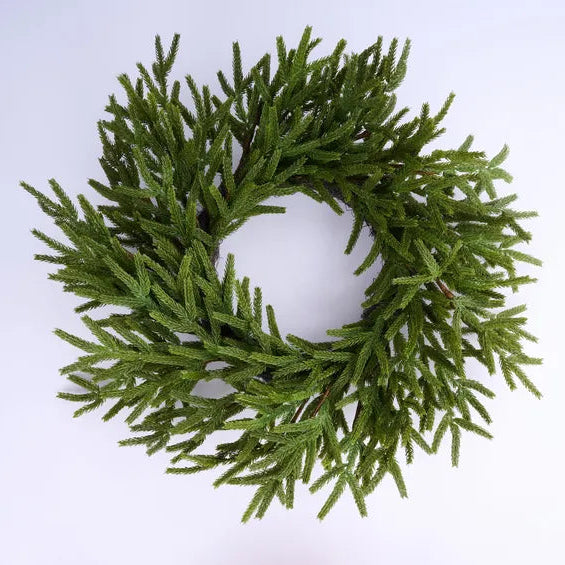 24"DIA NORFOLK ISLAND PINE WREATH - GREEN - XX9414