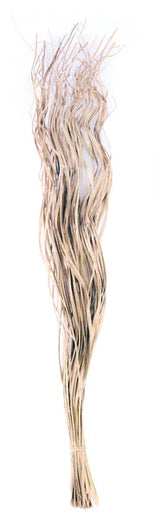 33-34"L MAGDALENA PALM BUNDLE - TT305608