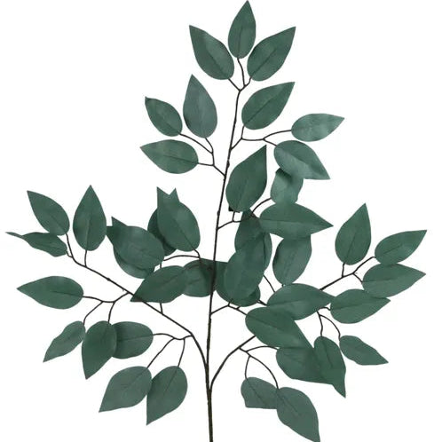 23"L FICUS SPRAY - SAGE GREEN - FG633732