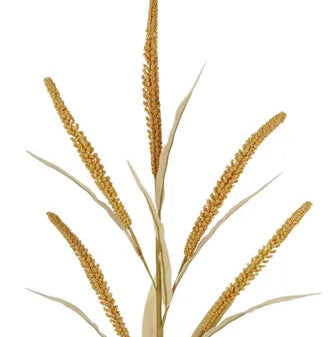 26.5"L SEED/PLUME STEM - BEIGE - HA171801