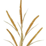 26.5"L SEED/PLUME STEM - BEIGE - HA171801